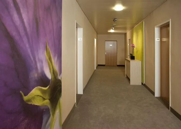 Отель Henriette Stadthotel