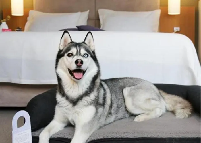Henriette Stadthotel 4* Bécs
